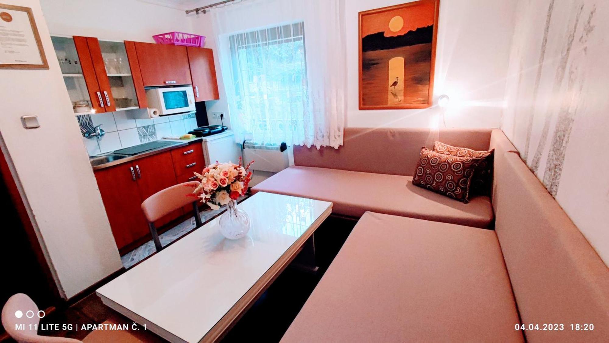 Penzion Pohoda - apartmány Jeseník Exterior foto